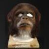 PLANET OF THE APES (2001) - Elder Chimp (Mark Munoz) Mask