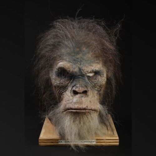 PLANET OF THE APES (2001) - Elder Chimp Mask