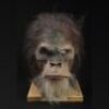 PLANET OF THE APES (2001) - Elder Chimp Mask