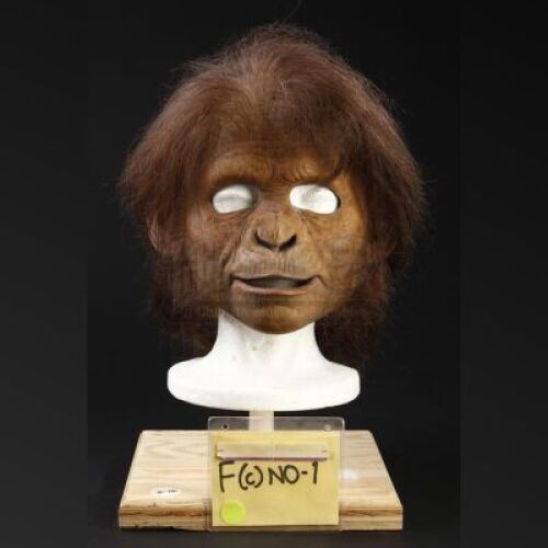 PLANET OF THE APES (2001) - Teenage Chimp Mask