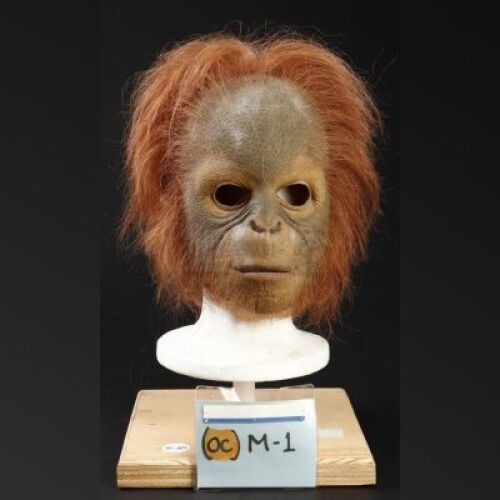 PLANET OF THE APES (2001) - Child Orangutan Mask