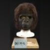 PLANET OF THE APES (2001) - Child Gorilla Mask