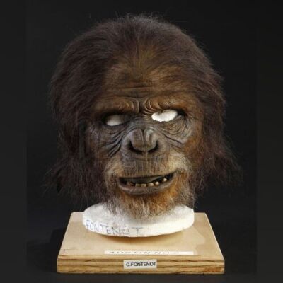PLANET OF THE APES (2001) - Elder Chimp Mask
