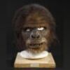 PLANET OF THE APES (2001) - Elder Chimp Mask