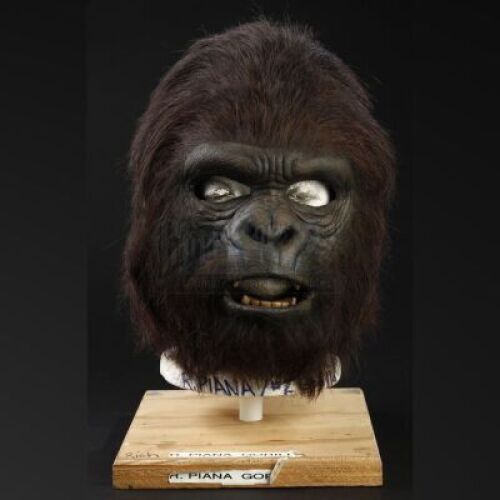 PLANET OF THE APES (2001) - Adult Gorilla (Rich Piana) Mask
