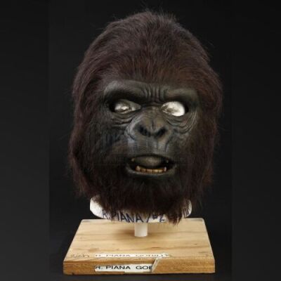 PLANET OF THE APES (2001) - Adult Gorilla (Rich Piana) Mask
