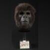PLANET OF THE APES (2001) - Pair of Gorilla (Don Boomhower) Face Masks