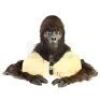 PLANET OF THE APES (2001) - Krull (Cary-Hiroyuki Tagawa) Make-Up Test and Gloves