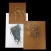 PLANET OF THE APES (2001) - Hand-Drawn Ape Concepts