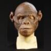 PLANET OF THE APES (2001) - Chimp (Chet Zar) Paint Test Mask