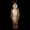 MEN IN BLACK II (2002) - Locker Alien Costume