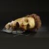 THE RING (2002) - Male Victim's SFX Head