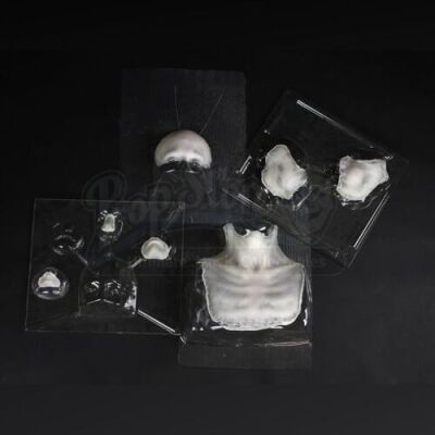 THE RING TWO (2005) - Samara (Kelly Stables) Face Appliances