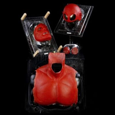 HELLBOY (2004) - Hellboy (Ron Perlman) Appliance Set