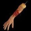 THE WOLFMAN (2010) - Right Arm with Werewolf Bite