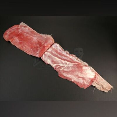 HANNIBAL - "Coquilles" Angel Maker Skin Wing Pair