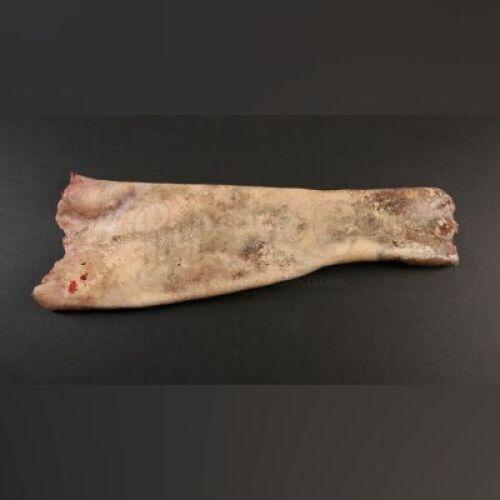HANNIBAL - Georgia Madchen (Ellen Muth) "Buffet Froid" Arm Skin