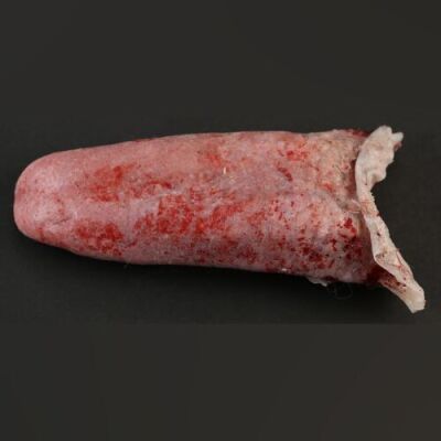 HANNIBAL - "Roti" Bloody Prosthetic Tongue