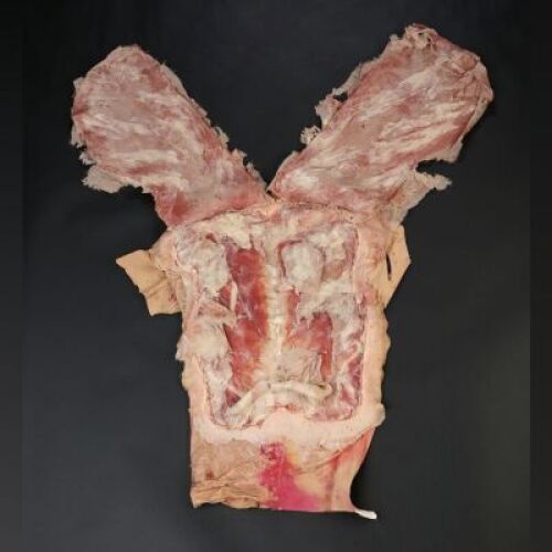 HANNIBAL - Elliot Buddish's (Sean Gallagher) "Coquilles" Skin Wing Vest