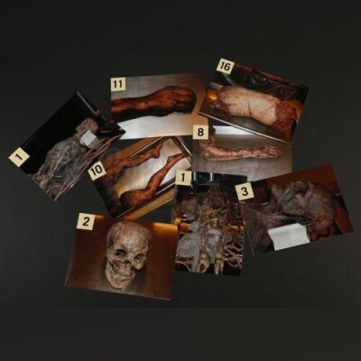 HANNIBAL - Set of 8 "Trou Normand" Totem Evidence Photos
