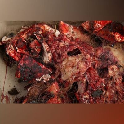 Red's Head Remains and Continuity Photos