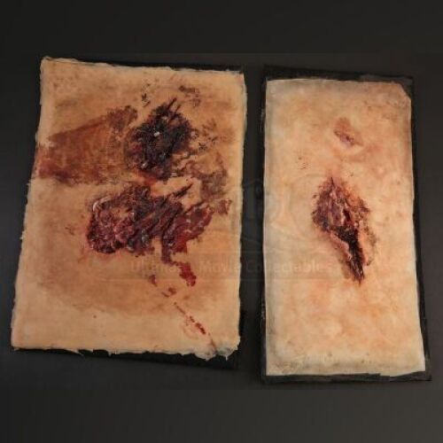 Pair of Wound Prosthetics
