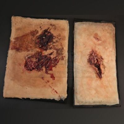 Pair of Wound Prosthetics