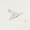 Lot # 15: Boba Fett's Slave I Sketch - Take-off