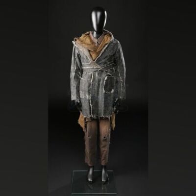 Japeth Ark Costume