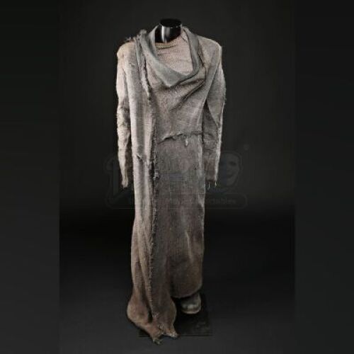 Shem Ark Building Costume