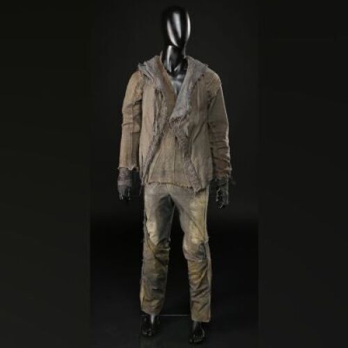 Ham Stunt Costume