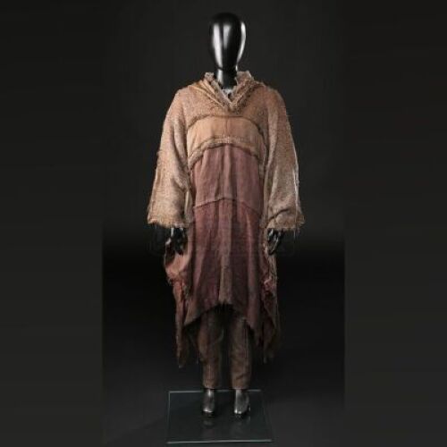 Japeth Ark Costume