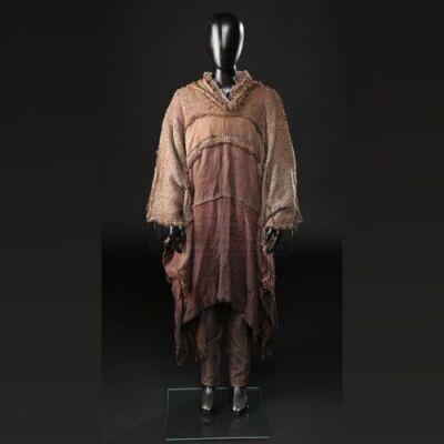 Japeth Ark Costume