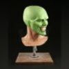 THE MASK (1994) - The Mask (Jim Carrey) Reference Head