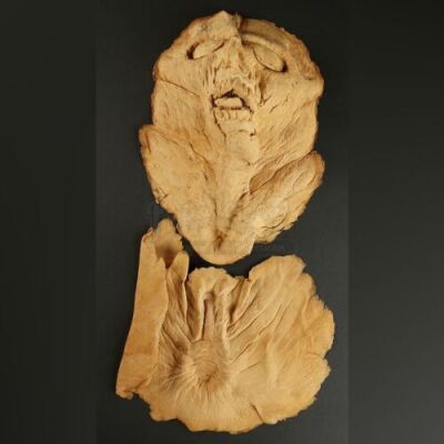 MICHAEL JACKSON: THRILLER (1983) - Zombie Face and Neck Appliance Lot