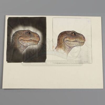 REX (1992) - Printed Rex Profile Study Board