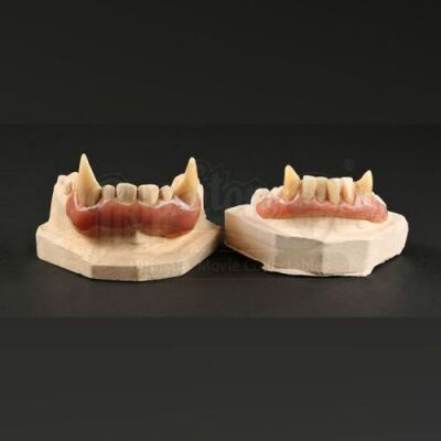 BEAUTY AND THE BEAST (1987-1990) - Vincent's (Ron Perlman) Teeth Set