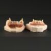 BEAUTY AND THE BEAST (1987-1990) - Vincent's (Ron Perlman) Teeth Set