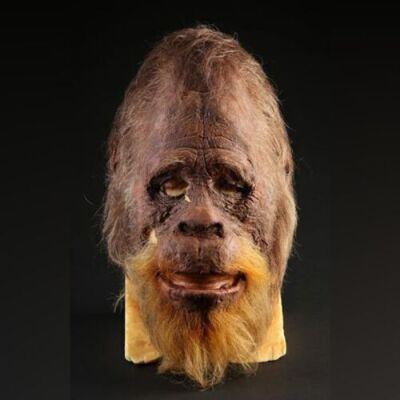 HARRY AND THE HENDERSONS (1987) - Harry Head Skin