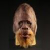 HARRY AND THE HENDERSONS (1987) - Harry Head Skin