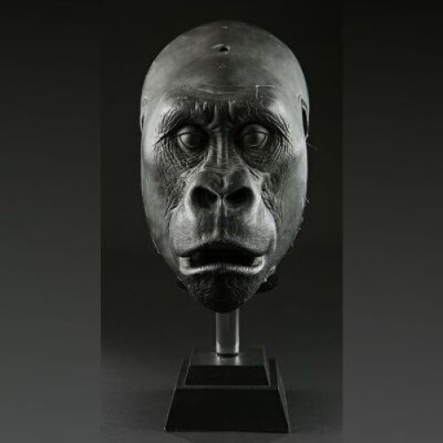 MIGHTY JOE YOUNG (1998) - Joe Practice Head