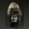 GORILLAS IN THE MIST (1988) - Digit (John Alexander) Head Skin