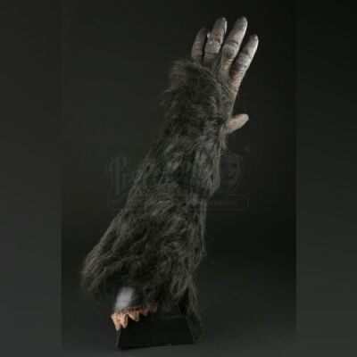 GORILLAS IN THE MIST (1988) - Gorilla (Denise Cheshire) Left Arm