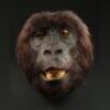 GORILLAS IN THE MIST (1988) - Simba Head Skin