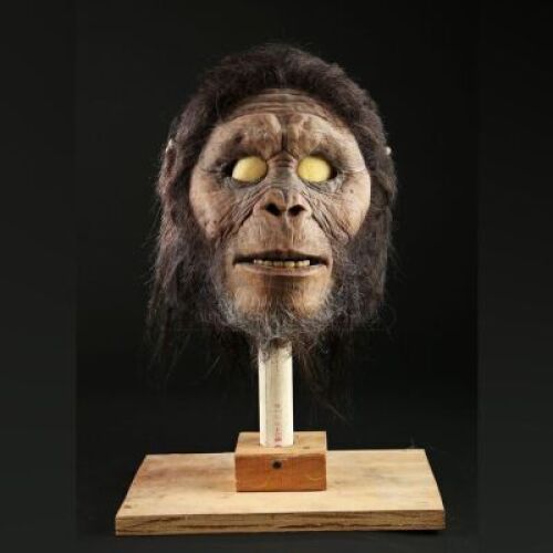 POSTWATER COMMERCIAL - Cro-Magnon Man