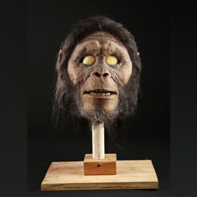 POSTWATER COMMERCIAL - Cro-Magnon Man