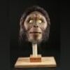 POSTWATER COMMERCIAL - Cro-Magnon Man