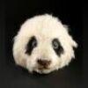 THE AMAZING PANDA ADVENTURE (1995) - Ernie Panda Head