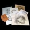 THE NUTTY PROFESSOR (1996) - Lot of Hand-Drawn Transformation Illustrations