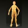 THE NUTTY PROFESSOR (1996) - Eddie Murphy Foam Figure